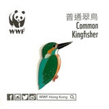 Mai Po Bird Pin - Common Kingfisher | 米埔雀鳥 - 普通翠鳥