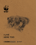 Fairtaste Organic Drip coffee 10gm- Eurasian otter Edition | 細味公平 Fairtaste 有機滴漏掛耳咖啡 10克- 歐亞水獺紀念版