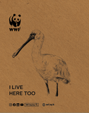 Fairtaste Organic Drip coffee 10gm - Black-faced Spoonbill Edition |細味公平 Fairtaste 有機滴漏掛耳咖啡 10克 - 黑臉琵鷺紀念版