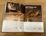 Wild Creatures of Hong Kong | Wild Creatures of Hong Kong