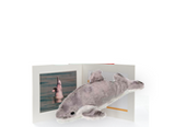 Bring Me Home  Young Chinese White Dolphin |  帶我回家 - 幼年中華白海豚