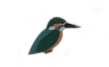 Mai Po Bird Pin - Common Kingfisher | 米埔雀鳥 - 普通翠鳥