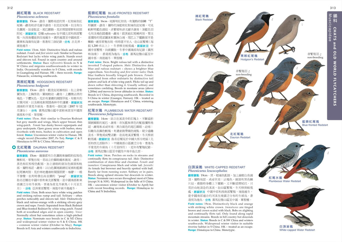 HKBWS Field Guide to the Birds of Hong Kong and S. China | 香港觀