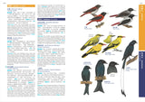 HKBWS Field Guide to the Birds of Hong Kong and S. China | 香港觀鳥會香港及華南鳥類野外手冊
