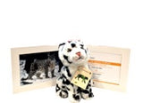 Bring Me Home Snow Leopard |  帶我回家 - 雪豹