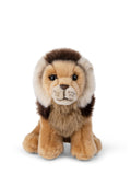 Lion 19cm | 獅子公仔 19cm