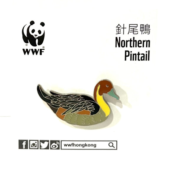 Mai Po Bird Pin - Northern Pintail | 米埔雀鳥-針尾鴨