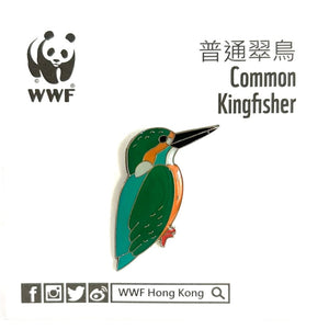Mai Po Bird Pin - Common Kingfisher | 米埔雀鳥 - 普通翠鳥