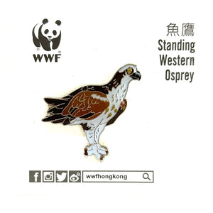 Mai Po Bird Pin - Western Osprey standing | 米埔雀鳥 - 魚鷹 (站立)