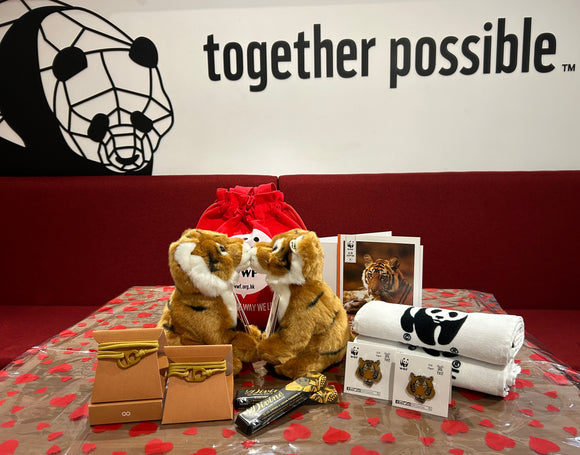 Valentine's version - Bring Me Home Brown Tiger with #Togetherband | 情人節系列 - 帶我回家老虎・環保手繩套裝