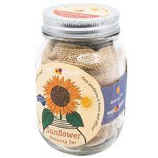 Mason Jars - Sun Flower | 玻璃瓶種植套裝 - 太陽花