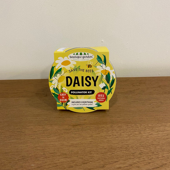 Mini Basins - Daisy | 迷你盆栽 - 雛菊