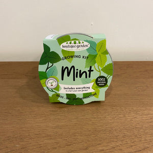 Mini Basins - Mint | 迷你盆栽 - 薄荷葉