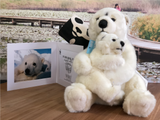 Bring Me Home -  Polar Bear Parent & kid |  帶我回家 - 親子北極熊