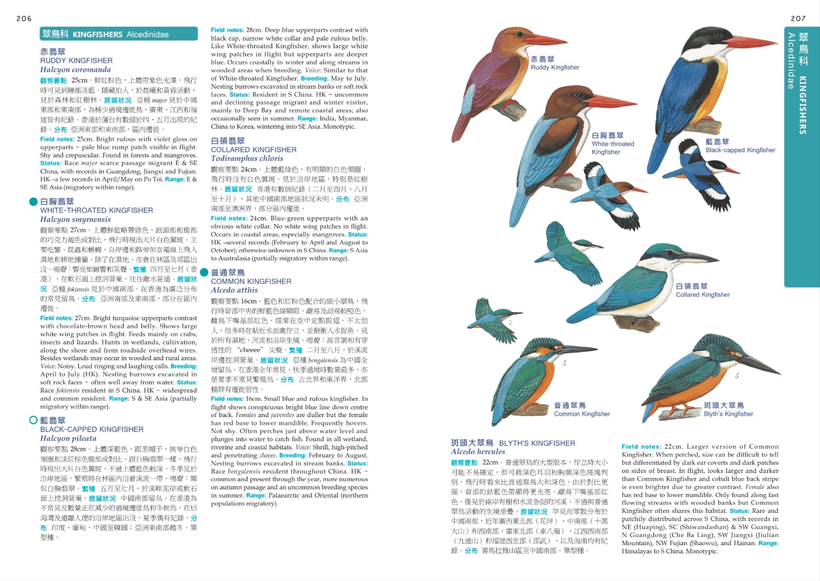 HKBWS Field Guide to the Birds of Hong Kong and S. China