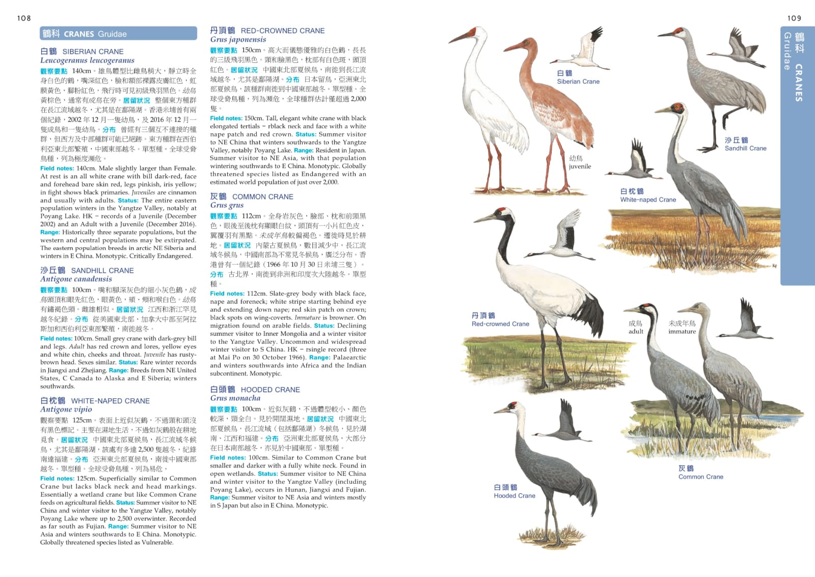 NEW COLOUR GUIDE TO HONG KONG BIRDS香港の鳥 NEW COLOUR GUIDE TO HONG KONG BIRDS香港の鳥 NEW COLOUR GUIDE