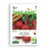 Organic Seeds Packet - Beetroot | 有機袋裝種子 - 紅菜頭